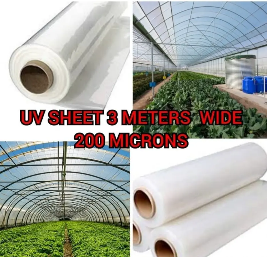 uvsheet3.webp