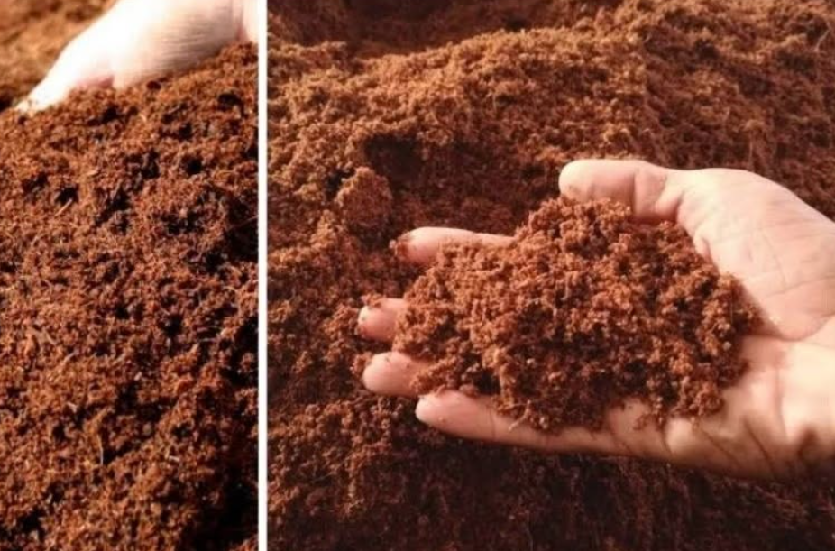 Cocopeat 25kg